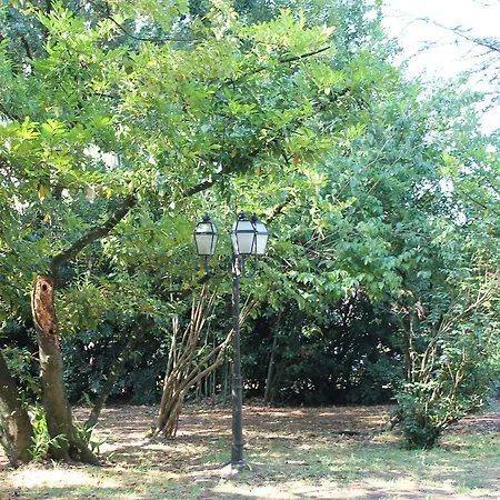 Margherita Santo Stefano di Magra